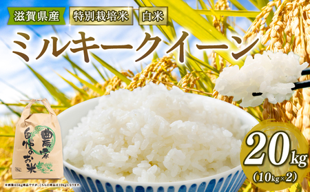【 新米予約 】新米 令和8年産 ミルキークイーン 20kg 白米 特別栽培米