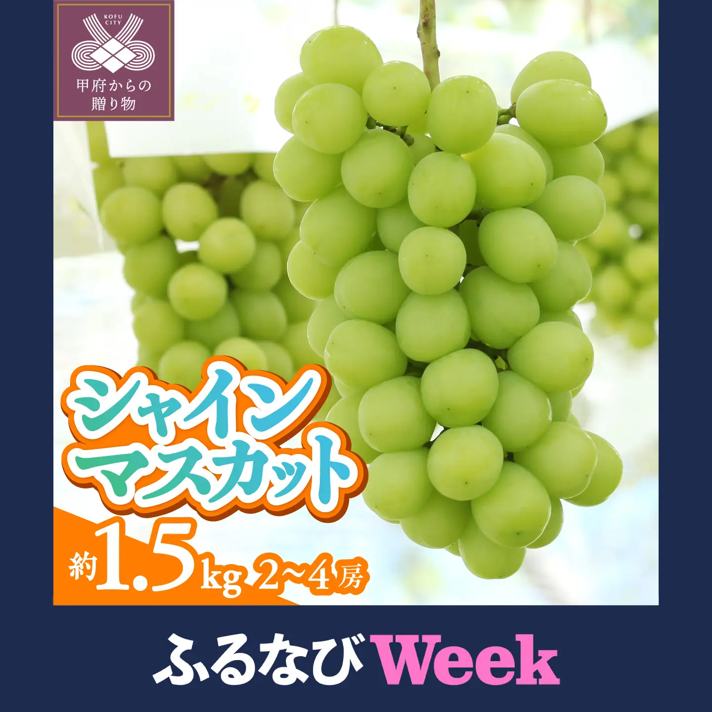 【ふるなびWEEK対象】〈2026年度配送分〉甲府市産　シャインマスカット　約1.5kg（2～4房）シャイン
