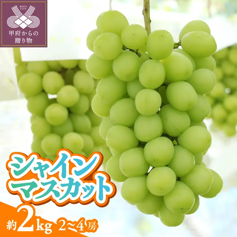 〈2026年度配送分〉甲府市産　シャインマスカット　約2.0kg（2～4房）