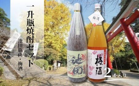 池田旗山・梅酒（一升瓶） 2本セット 1425-2