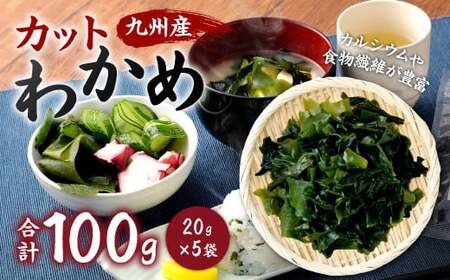 081-1312 九州産 カットわかめ 20g×5袋 計100g ワカメ 海藻 海産物 乾燥 セット 国産 九州 常温