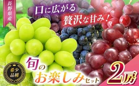 【2026年 先行予約】【希少品種・お楽しみセット】シャインマスカット1房と旬の完熟1房詰め合わせ