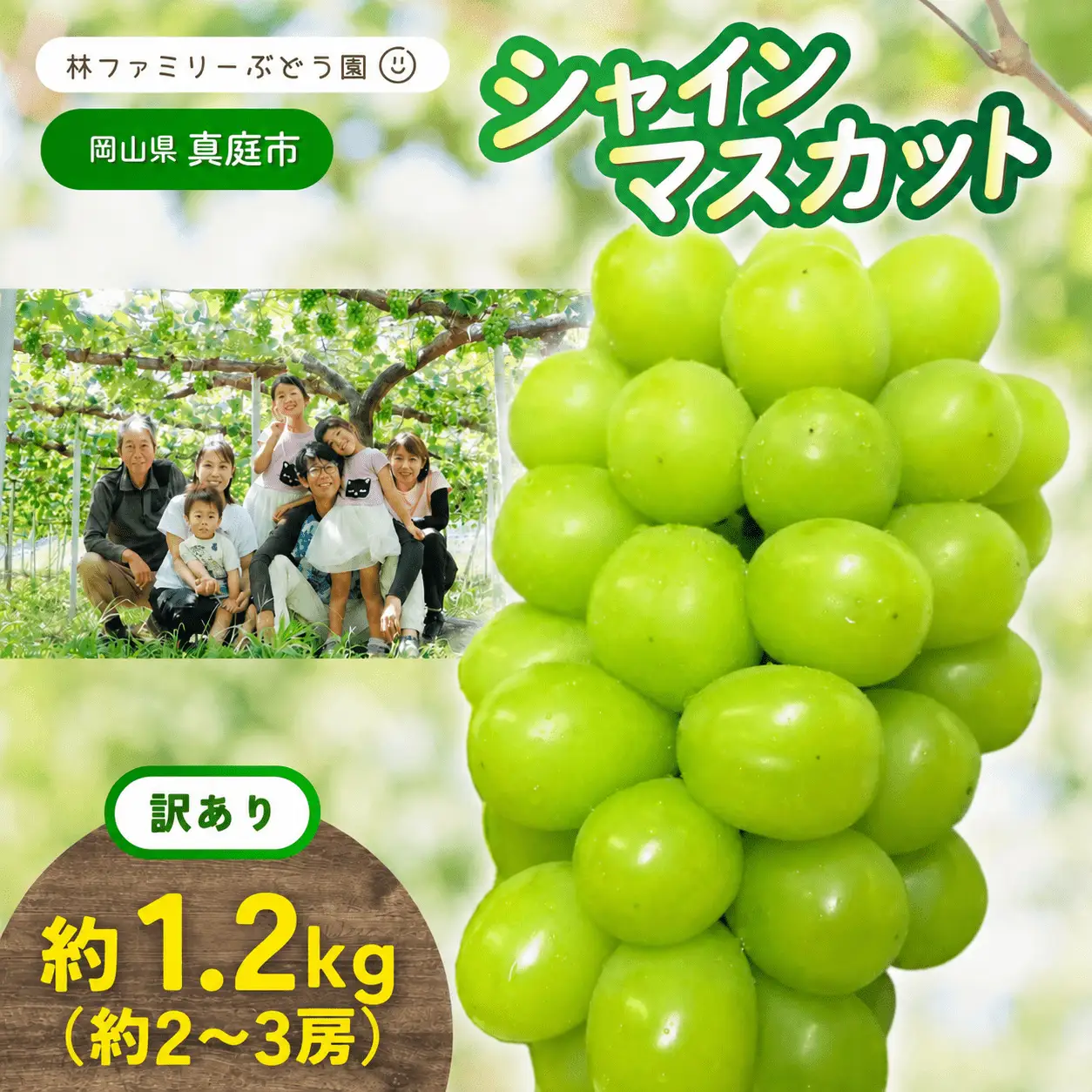 訳あり シャインマスカット 岡山県産ぶどう訳ありシャインマスカット約1.2kg（約2～3房） 【hfbd021-02】
