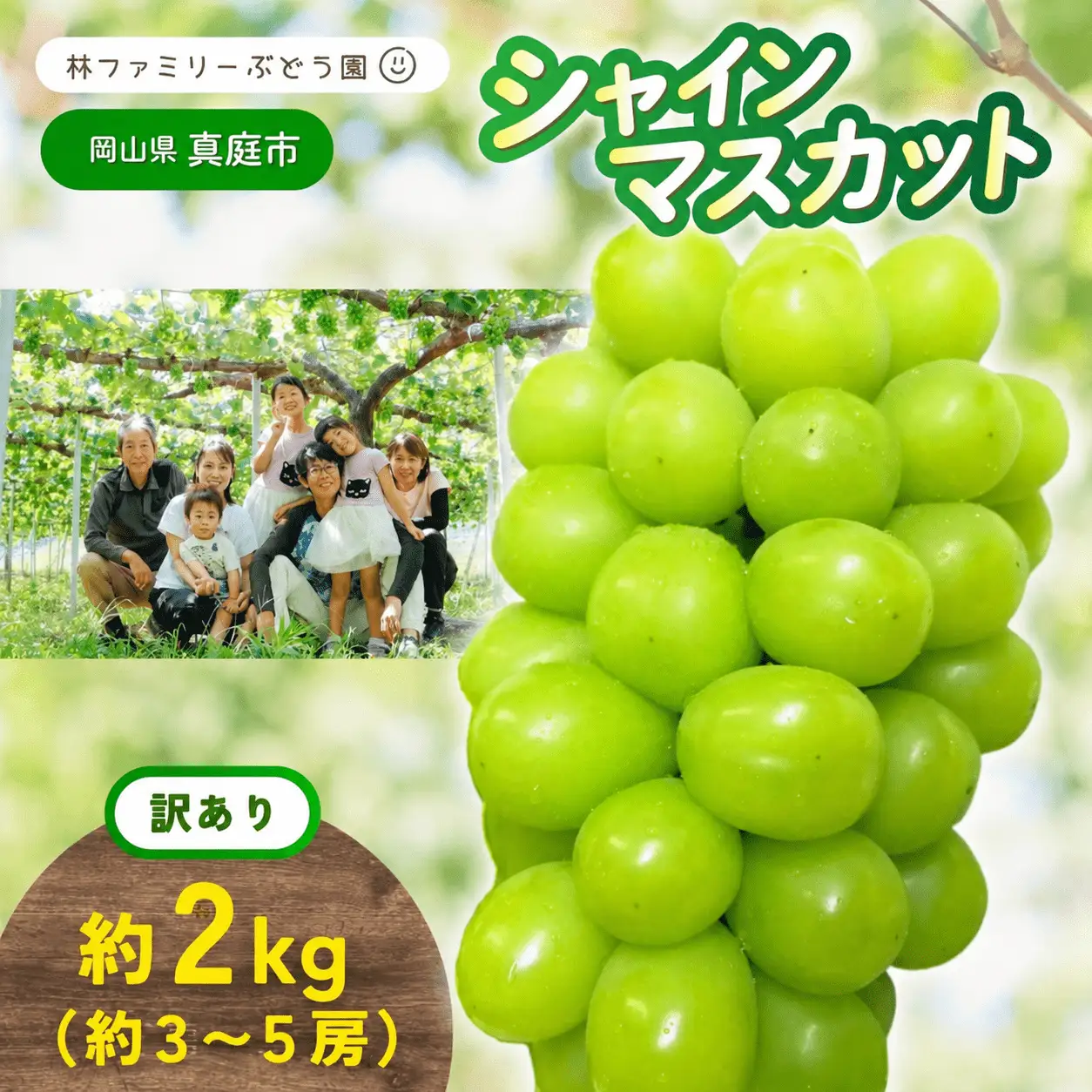 【訳あり】 シャインマスカット 訳ありぶどうシャインマスカット約2kg（約3～5房） 【hfbd022-02】