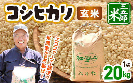 【先行予約】米 令和8年産 コシヒカリ 20kg（玄米）【2026年10月上旬以降順次発送予定】【大容量 ブランド 玄米】 [m76-d003]