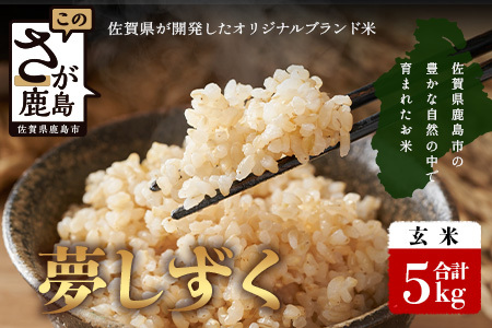 【鹿島市産】＼生産者直送／ 夢しずく 玄米5kg 佐賀県 鹿島市 C-150