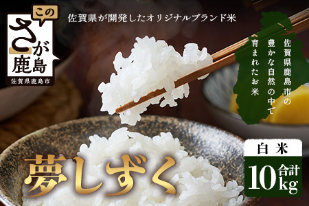 【鹿島市産】＼生産者直送／ 夢しずく 白米10kg 佐賀県 鹿島市 D-248