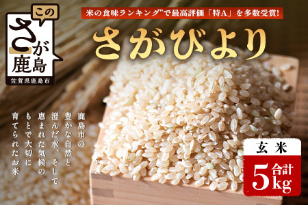 【鹿島市産】先行受付 ＼生産者直送／ さがびより 玄米5kg 佐賀県鹿島市 C-152