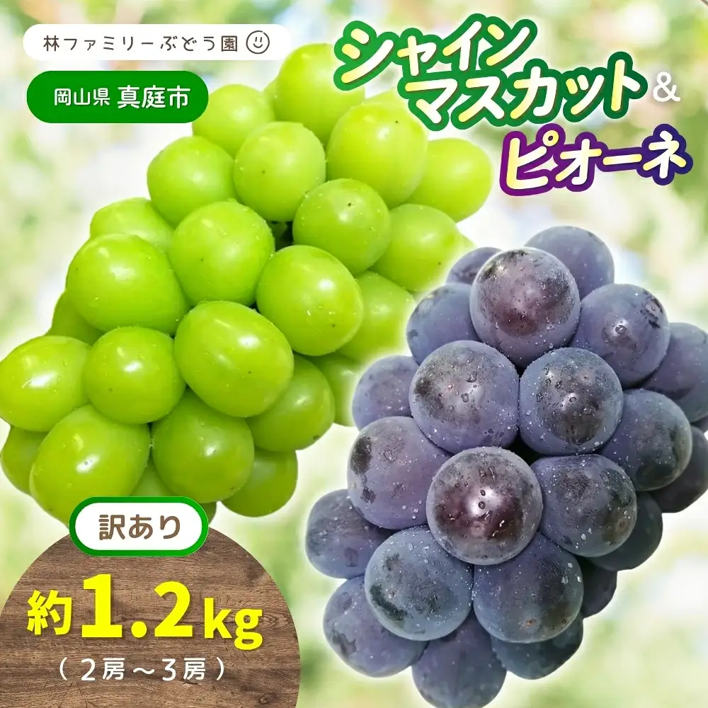 【訳あり】 ※2027年の予約です！※ 岡山県産 林ファミリーのシャインマスカット&ピオーネ 約1.2kg（約2～3房） 【2027年先行予約】 / 葡萄 ぶどう ブドウ マスカット 果物 フルーツ 食べ比べ 新鮮 当日出荷 家庭用 お試し ぶどう専門 岡山 真庭市【hfbd024-03】