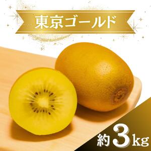 【2026年度】キウイ キウイフルーツ 東京ゴールド イエロー ゴールド 3kg 国産 キウイフルーツ ビタミンC 果物 フルーツ ゴールデンキウイ サンゴールドキウイ 期間限定 数量限定 限定 先行予約
