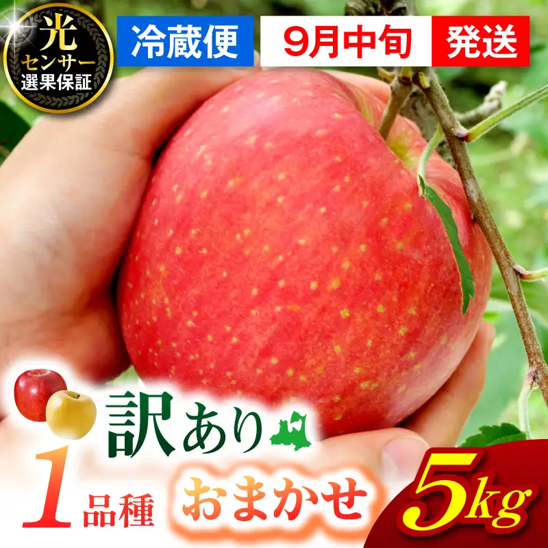 【2026年9月中旬発送】【訳あり】 旬の美味しい りんご 約5kg 青森県産 【おまかせ1品種】 りんご