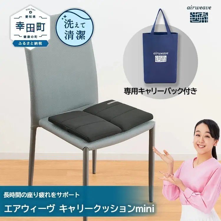 エアウィーヴ キャリークッションmini  ｴｱｳｨｰｳﾞ