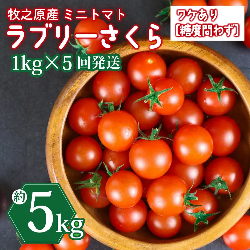 ミニトマト 5kg (1kg×5回) 訳あり 定期便 【ミニトマト】 山本農園