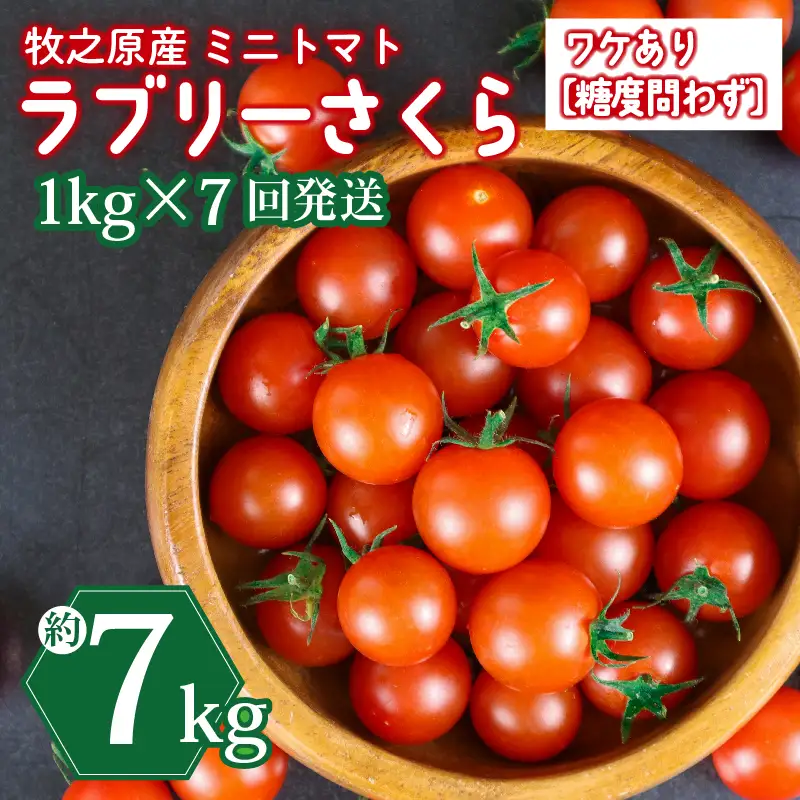 ミニトマト 7kg (1kg×7回) 訳あり 定期便 【ミニトマト】 山本農園