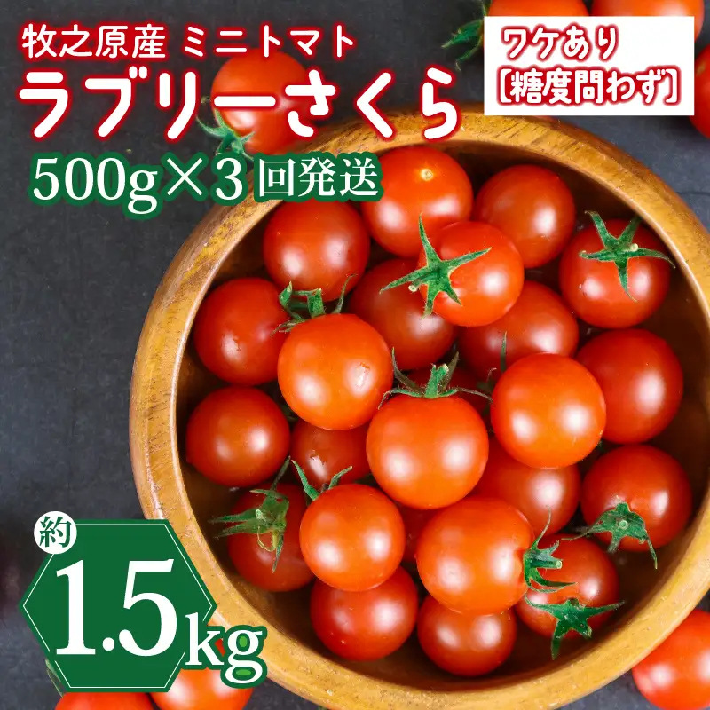 ミニトマト 1.5kg (500g×3回) 訳あり 定期便 【ミニトマト】 山本農園