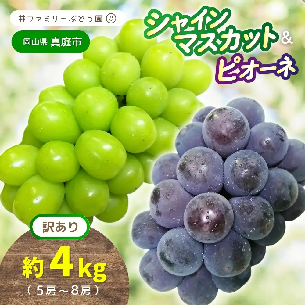 【訳あり】 ※2027年の予約です！※ 岡山県産 林ファミリーのシャインマスカット&ピオーネ 約4kg（約5～8房） 【2027年先行予約】 / 葡萄 ぶどう ブドウ マスカット 果物 フルーツ 食べ比べ 新鮮 当日出荷 家庭用 お試し ぶどう専門 岡山 真庭市【hfbd026-03】