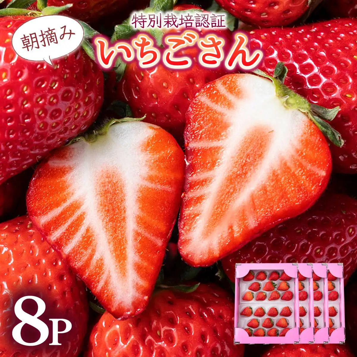 【先行予約】数量限定！佐賀県人気No.1苺”いちごさん” たっぷり約1.9㎏（235g×8p）
