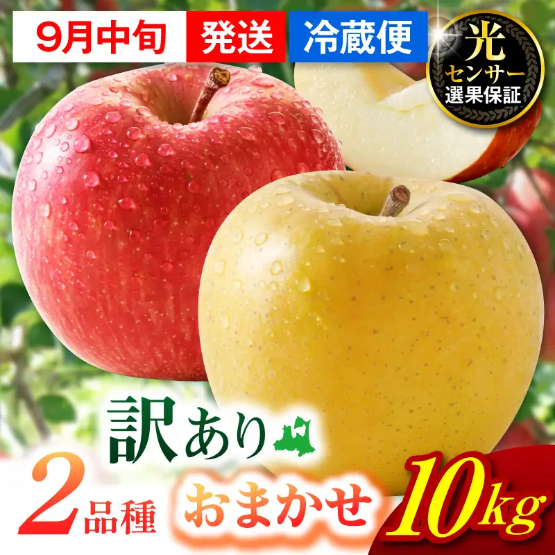 【2026年9月中旬発送】【訳あり】 旬の美味しい りんご 約10kg 青森産 【おまかせ2品種】 りんご