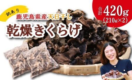 ＼"訳アリ”／鹿児島県産天日干し乾燥きくらげ 合計420g 国産 訳あり 訳アリ 業務用 乾燥きくらげ 野菜 きのこ 健康 食物繊維 低カロリー エムズ わか農園_ss2017