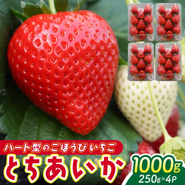とちあいか 250ｇ×4パック 益子町 DS001