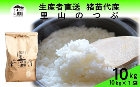 【令和7年度産】 米 里山のつぶ 10kg(10kg×1袋) 白米 精米 ※沖縄・離島への配送不可