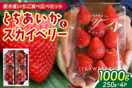 【2027年1月発送開始】【先行予約】合計1,000g 栃木県産 いちご食べ比べセット 甘くて可愛い「とちあいか」× 大粒高級「スカイベリー」 | 栃木県 ふるさと納税 いちご イチゴ 苺 果物 フルーツ とちあいか ご褒美 ハート型 熟成 スカイベリー 大粒いちご セット 食べ比べ こだわり (DS003)
