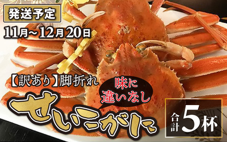 【先行予約】【訳あり】せいこがに 5杯  脚折れ【11月～12月発送】