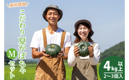 かぼちゃ 4kg以上 Mサイズ 野菜 南瓜 かぼちゃ