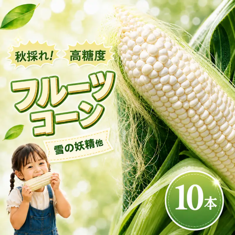 【先行予約】（2026年11月~順次発送）【とうもろこし】 (ホワイト種 10本) 高知県産 とうもろこし