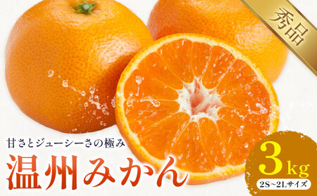 温州みかん 約3kg 日本フルーツ株式会社 熊本県 荒尾市 《10月中旬-2月下旬頃出荷》 デコポン 果物 秀品 フルーツ スイーツ デザート ギフト ご贈答