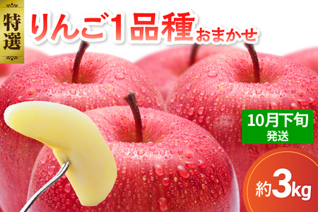 【2026年10月下旬発送】【特選】 りんご 約3kg おまかせ1品種 青森産 りんご