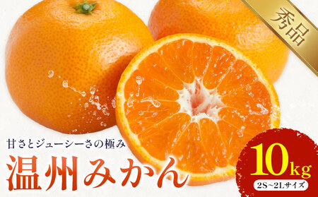 温州みかん 約10kg 日本フルーツ株式会社 熊本県 荒尾市 《10月中旬-2月下旬頃出荷予定》 デコポン 果物 秀品 フルーツ スイーツ デザート ギフト ご贈答