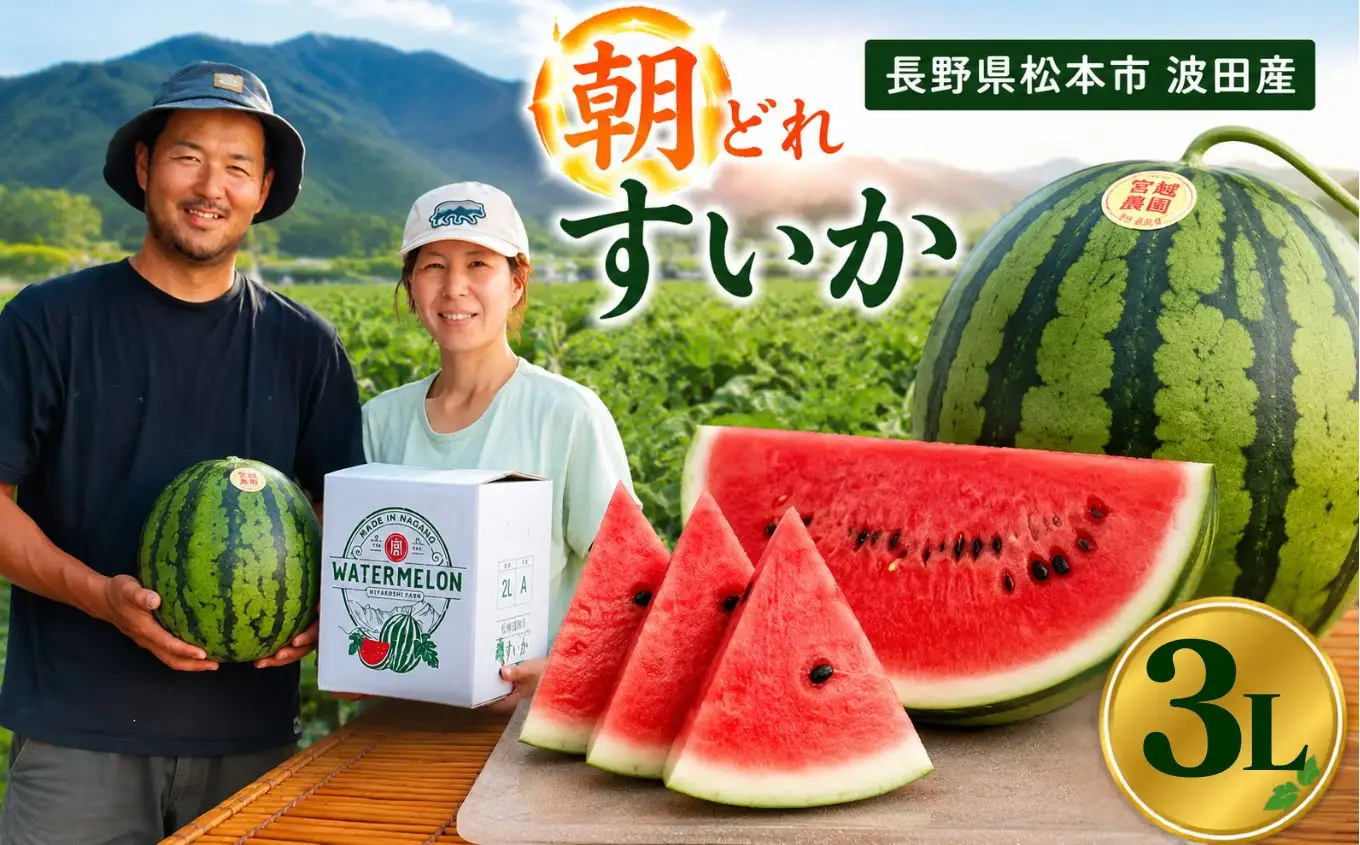 松本市 波田産 大玉すいか ３L