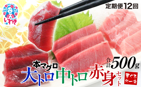 【定期/計12回】本マグロ大トロ中トロ赤身セット500g（計6kg） まぐろ
