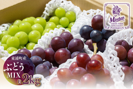 【先行予約】【2026年8月発送】東浦町産 ぶどうMIX・約2kg｜ぶどう フルーツ 東浦町