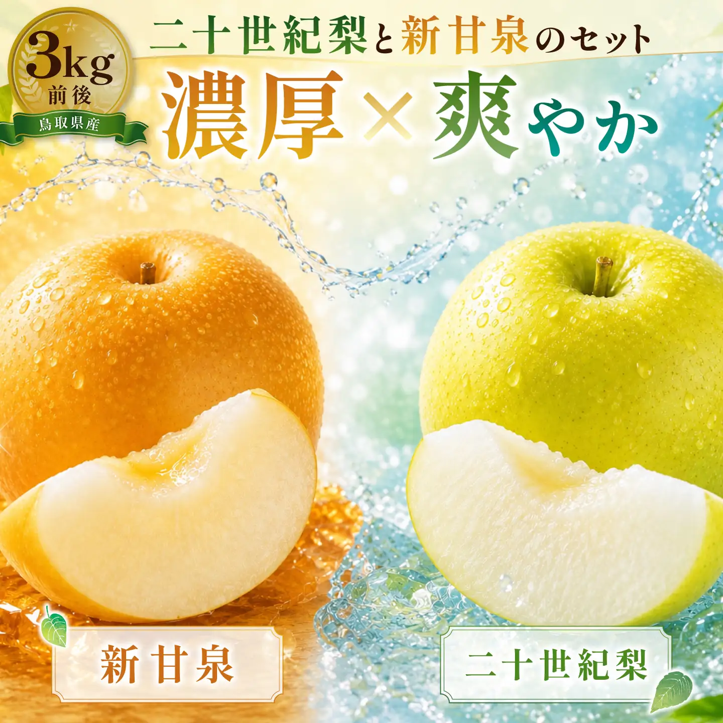 二十世紀梨と新甘泉のセット　3kg【梨 3kg 20世紀 二十世紀 新甘泉 セット 先行予約 期間限定 数量限定 フルーツ 果物 なし ナシ 人気品種 甘い 詰め合わせ 贈答 贈り物 ギフト お取り寄せ 産地直送 鳥取県】