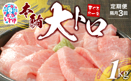 【定期便/隔月/計3回】本マグロ大トロずっしり1kg（計3kg）【DG004-tk3】