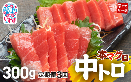 【定期便/計3回】本マグロ中トロ300g（計900g）【DG005-t3】