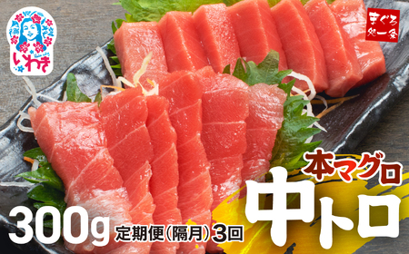 【定期便/隔月/計3回】本マグロ中トロ300g（計900g）【DG005-tk3】