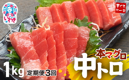 【定期便/計3回】本マグロ中トロ1kg（計3kg）【DG006-t3】