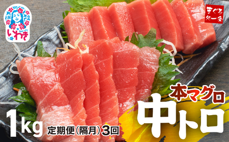 【定期便/隔月/計3回】本マグロ中トロ1kg（計3kg）【DG006-tk3】