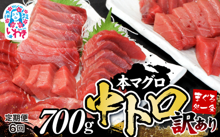 【定期便/計6回】本マグロ訳あり中トロ700g（計4.2kg）【DG008-t6】