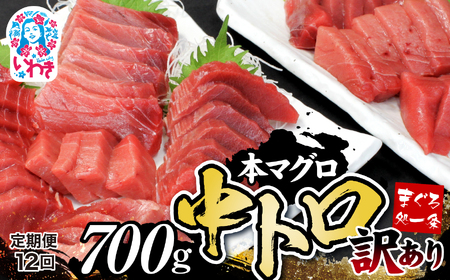 【定期便/計12回】本マグロ訳あり中トロ700g（計8.4kg）【DG008-t12】