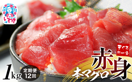 【定期便/計12回】本マグロ赤身1kg（12kg）【DG010-t12】
