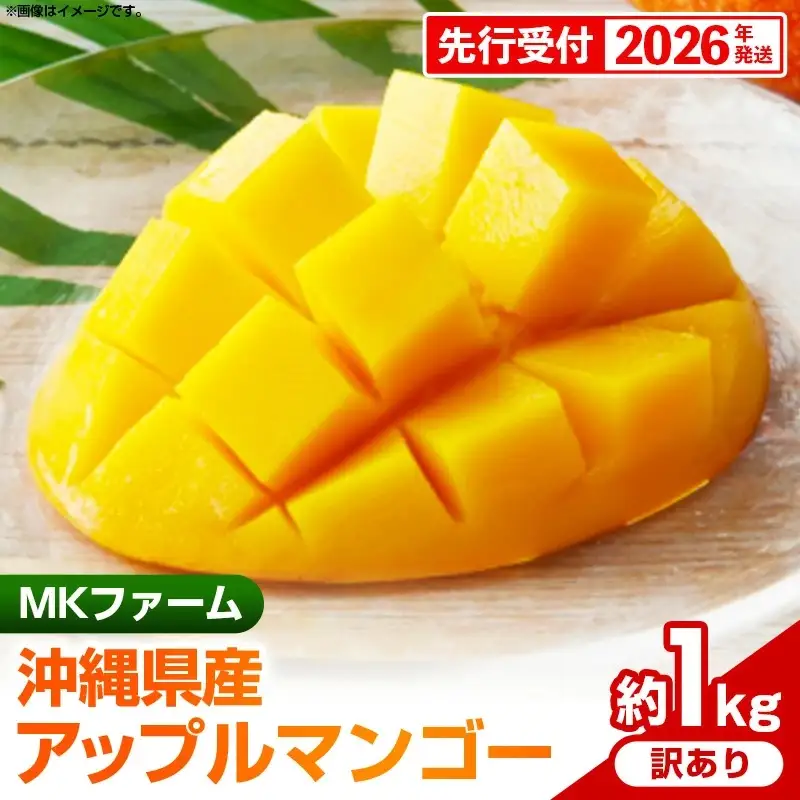 【先行受付】【2026年発送】MKファームの訳ありアップルマンゴー約1kg【訳あり】- 訳アリ 先行予約 家庭用 ご自宅用 沖縄県産 産地直送 南国フルーツ 旬の味覚 アップルマンゴー オススメ 沖縄県 八重瀬町