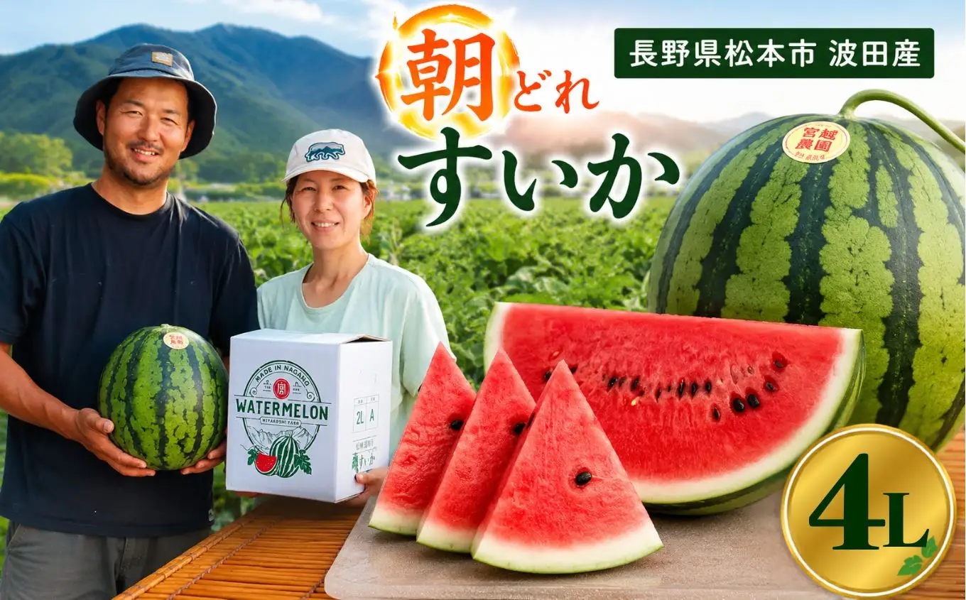 松本市 波田産 大玉すいか 4L