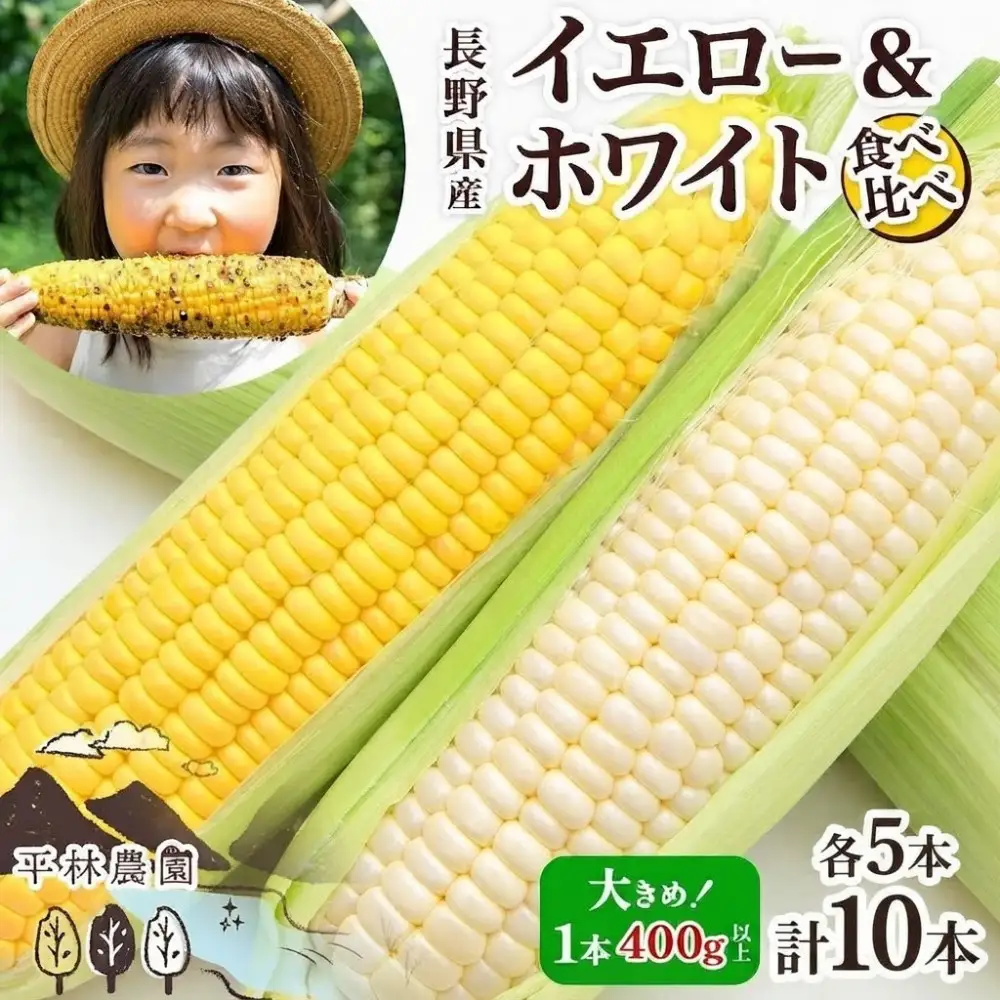とうもろこし イエロー ＆ ホワイト 食べ比べ 400g以上 各5本 計10本 ゴールドラッシュ ピュアホワイト コーン 玉蜀黍 農家直送 産直 信州 人気 お取り寄せ 平林農園 送料無料 長野県 大町市