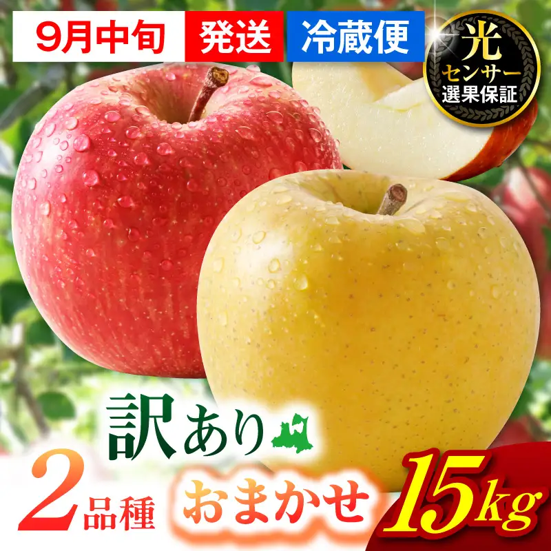 【2026年9月中旬発送】【訳あり】旬の美味しい りんご 約15kg 青森産 【おまかせ2品種】 りんご