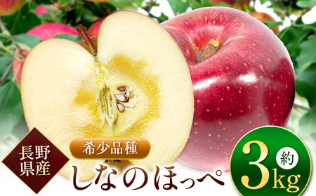 【先行受付】サンふじの血を引く信州オリジナル新品種。潤沢な蜜入りに期待！ シナノほっぺ 3kg 