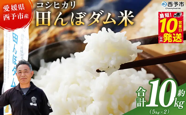 ＜令和7年産 愛媛県西予市産 コシヒカリ 田んぼダム米 最短10営業日以内に順次発送予定 10キロ こしひかり 西予応援米 宇和米 お米 コメ こめ 白米 精米 米 国産 愛媛県産 宇和町産 和みファーム 愛媛県 西予市【常温】 UWN0002